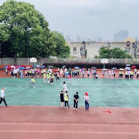 篮球少年，拼搏向前——2022年桂花树第二小学篮球赛