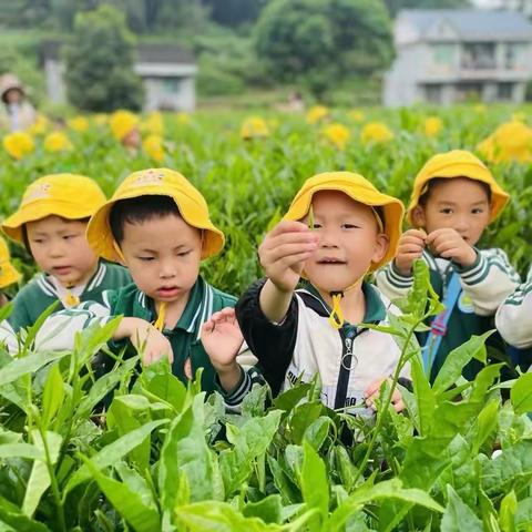 吉首市春天贝贝幼儿园四🈷️办公室美篇