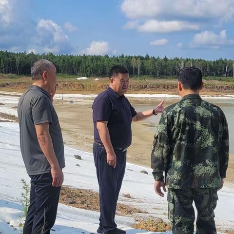 地区自然资源局主要领导带队深入基层督导矿山生态修复工作