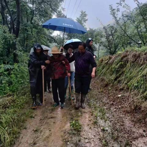 新河村：风雨之中践初心，闻“汛”而动担使命