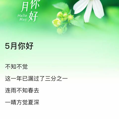 5月你好