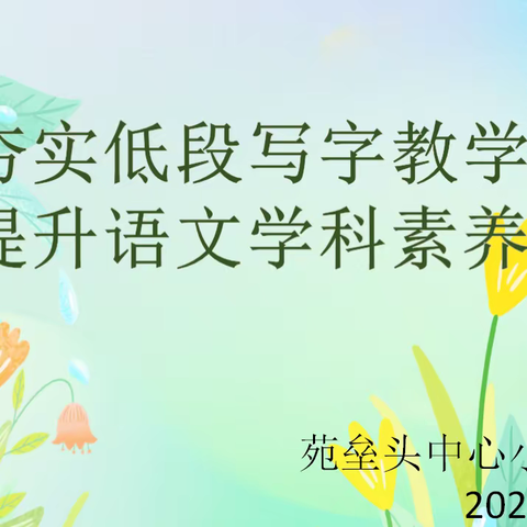 “夯实低段写字教学，提升语文学科素养”主题教研活动——苑垒头中心小学校