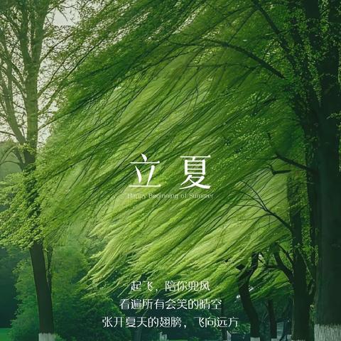 【红领巾宣讲团】 万物繁茂 始于立夏 ——西苑小学五二中队开展红领巾宣讲活动