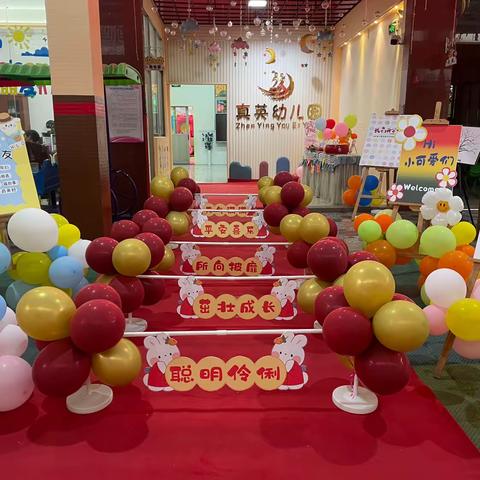 云路镇真英幼儿园2024年1月试读强势来袭！
