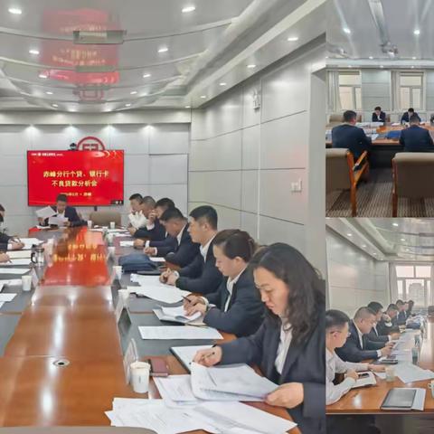 赤峰分行召开个贷、银行卡专业不良贷款分析会