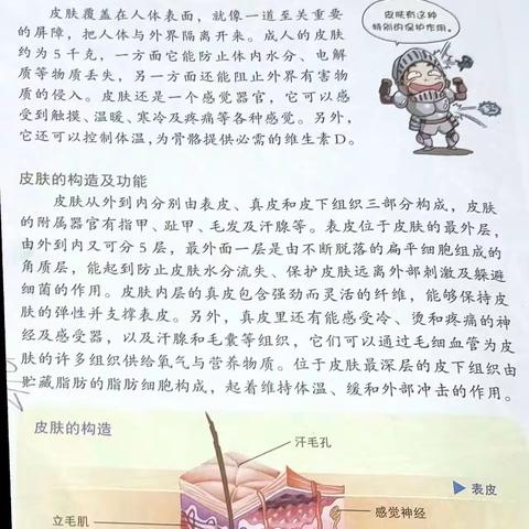 东盛小学二年一班王星桥家庭读书第六期