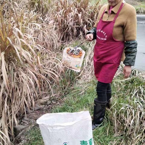 积极落实“河长制”工作