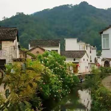 俞源乡跟新公示牌信息  助推有效全民监督