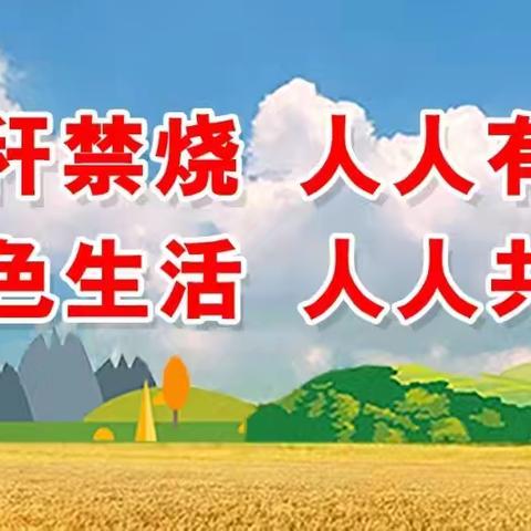 狮子楼街道夏季秸秆禁烧