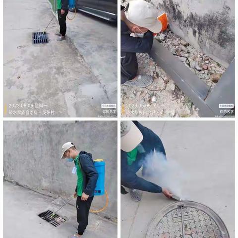 2023年6月5日海南绿美康环保服务有限公司对陵水县英州镇开展病媒生物防治工作
