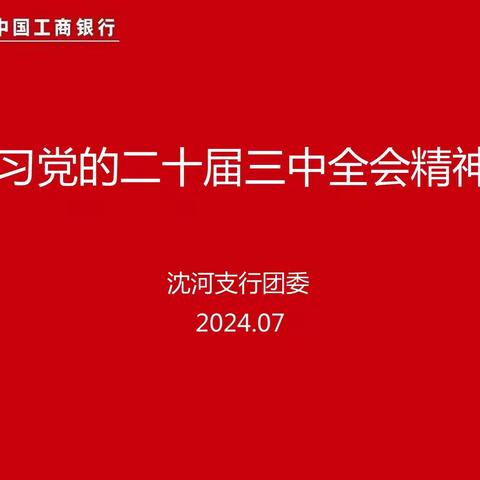 沈河支行团委专题传达学习贯彻党的二十届三中全会精神