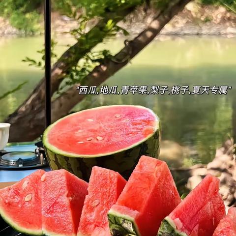 🌞《蚂蚁搬西瓜》🍉