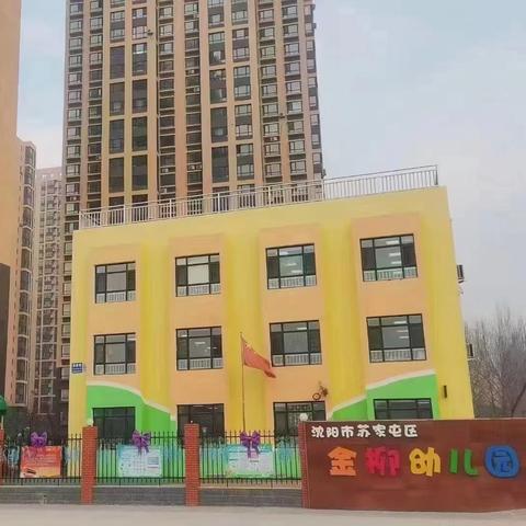 禁燃禁放 守护蓝天 ——沈阳市苏家屯区金柳幼儿园禁止燃放烟花爆竹倡议书