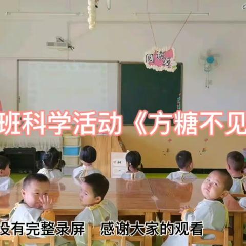 苗苗班科学活动《方糖不见了》