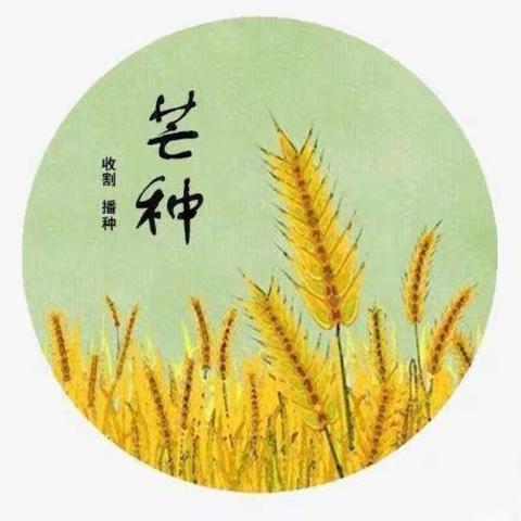 芒种芒种🌾🌾幸福播种