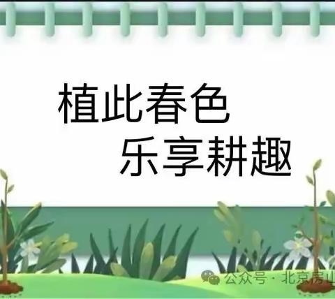 “植此春色，乐享耕趣”—红旗楼幼儿园种植活动