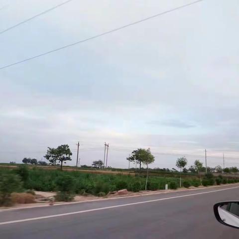 杏好有你，欢迎采摘！