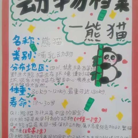 【教育教学】我为熊猫做名片——亳州市第四小学三年级语文组特色作业展示活动