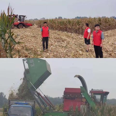 鄄城县积极拓展秸秆综合利用渠道  助推秸秆禁烧管控工作