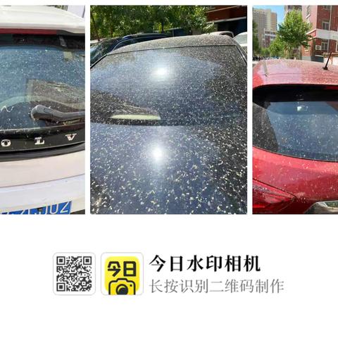 五一劳动嘉年华，爱车焕新趣出发