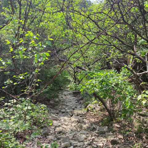 🐌【5.17周六】行者乐途〔藕池-算盘岭〕免费徒步线路