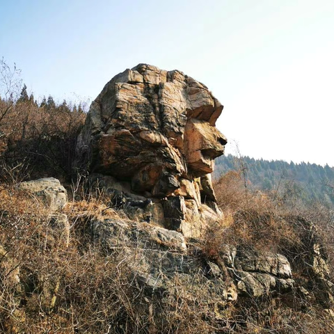 🐌【1.11周六-济南周边路线】行者乐途〔梯子山-水帘峡-跑马岭-石猿〕免费🆓徒步线路