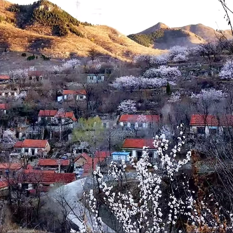 🌸3.30-周日【行者乐途】 ‍🐌淄博经典徒步线路〔黑虎寨-油篓寨-泉子村〕大巴出行徒步新🆕线路