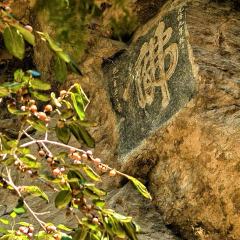 🐌【11.8周六】行者乐途〔龙洞〕 ‍「临改线路」公益免费徒步