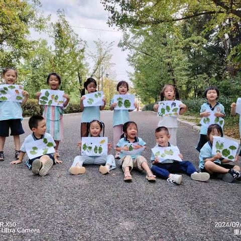 “遇见秋天、遇见美” 铁山坪幼儿园中班银杏叶粘贴画