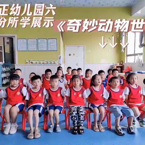 ♥弘正幼儿园♥中一班六月所学展示