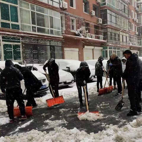 红旗街道驻跸园社区开展除雪“破冰”志愿服务活动