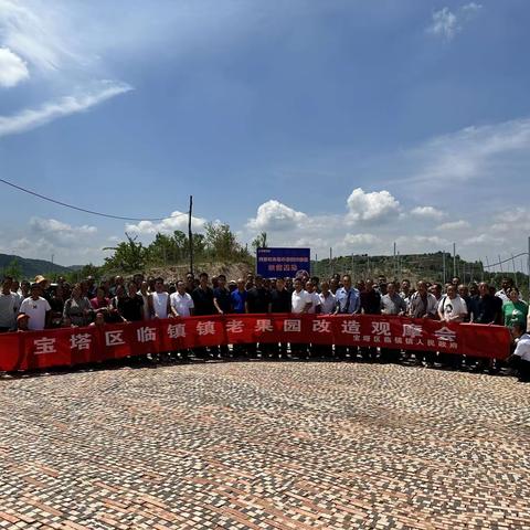 临镇镇组织开展老果园改造观摩会