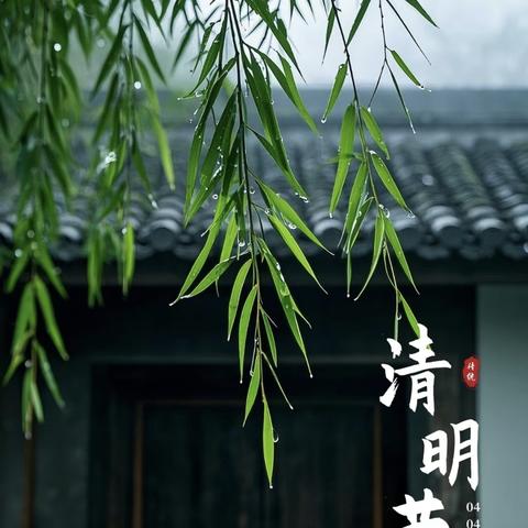 灵官殿镇白鹿小学2025年清明放假通知及安全提示