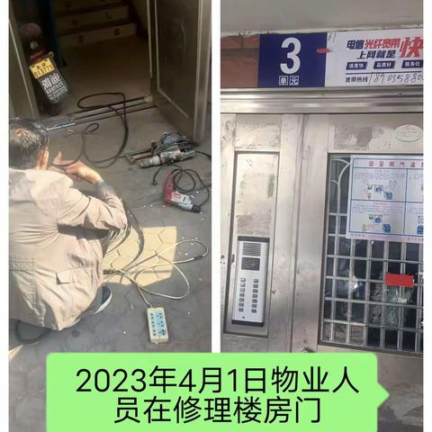 2023年4月份锦江物业员工在枣林苑小区工作简报（三）