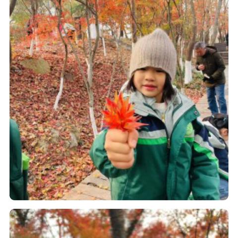 南京书人幼儿园———大班主题活动《中国人的智慧》