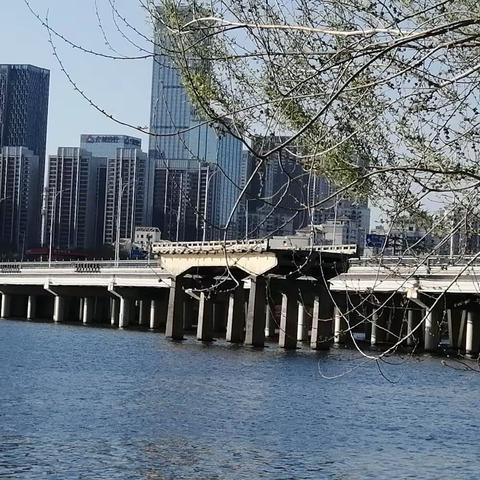 春风关不住，踏青有去处。