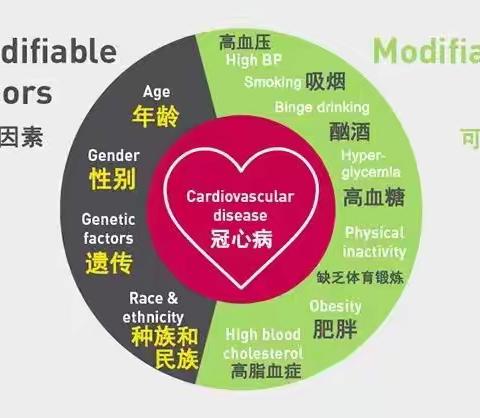 心血管疾病的危险因素到底有哪些？