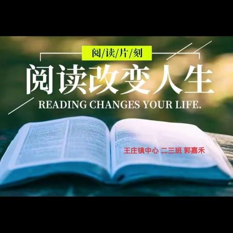 最美四“阅”天，不负春光与“书”行 ——王庄镇中心小学二三班读书记实