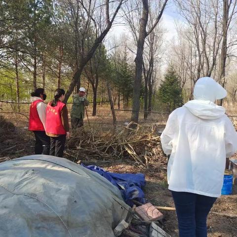 【物探社区】清理整治社区“小开荒” 共建美好家园