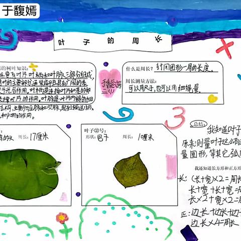 量出精彩  绽放思维——育才华岭小学三年级数学实践作业作品展示（二）