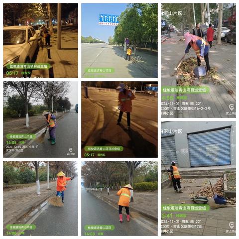 秋风落叶情，清扫安全行——佳俊道洁青山项目11月份工作纪实