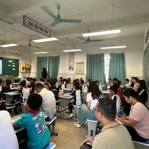 整理房间，学会分类——稔山长排小学数学科组公开课