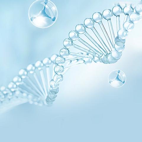 道阻且长，行而不辍 滨城区第七中学生物组教研活动