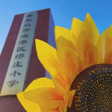 多彩社团   助力双减   —缪庄小学社团活动纪实