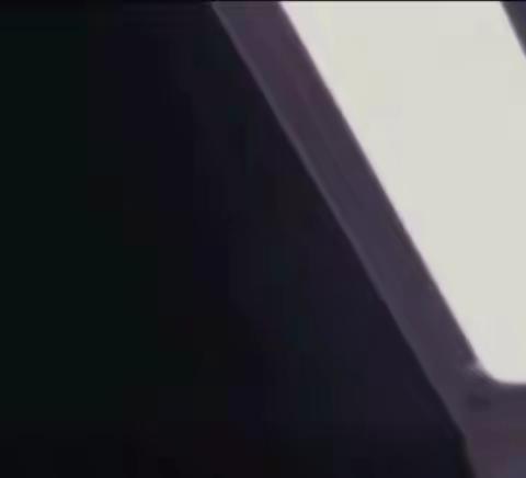 我的养蚕日记
