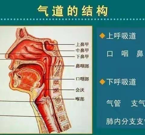 【兴宁🌟卫生保健】初冬时节预防小儿上呼吸道感染