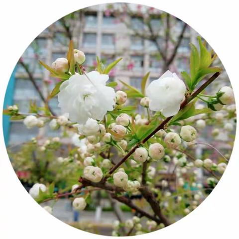 天麟·名城苑物业服务中心 2025年3月份工作简报