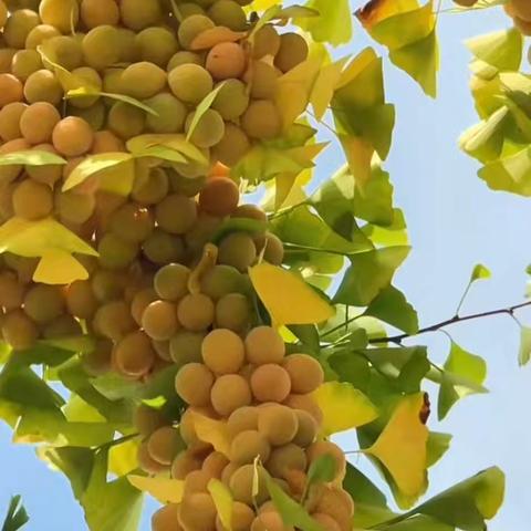 天麟·名城苑物业服务中心 2025年9月份工作简报