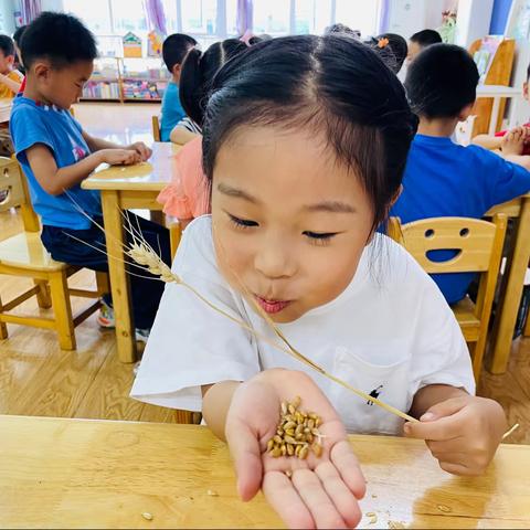 加州大地幼儿园新月一班一周精彩回顾