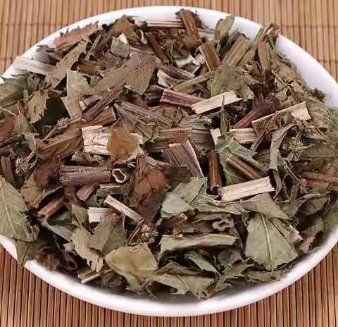 每周一味中药